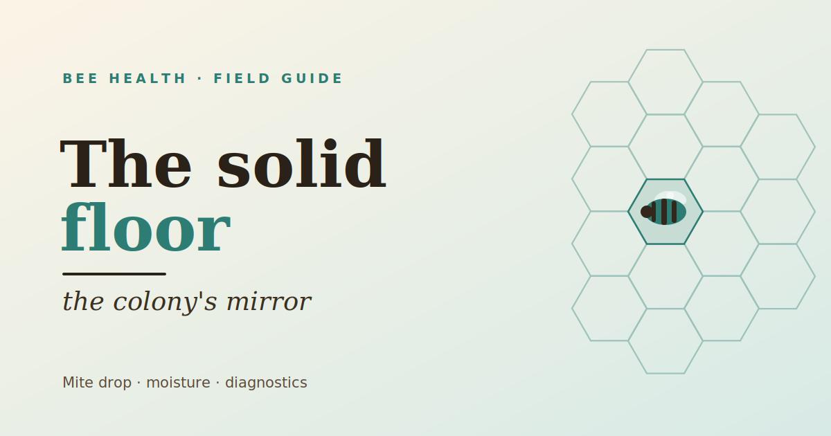 The solid floor as the colony's mirror: reading the drop and the nest