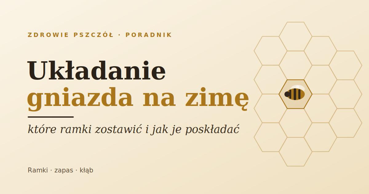 Układanie gniazda na zimę: które ramki zostawić i jak je poskładać