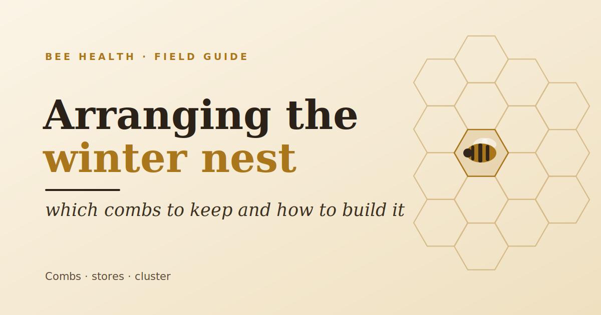 Arranging the winter nest: which combs to keep and how to put it together