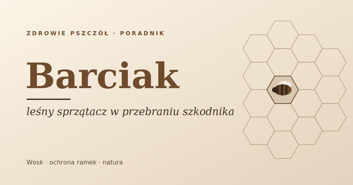 Barciak: leśny sprzątacz w przebraniu szkodnika