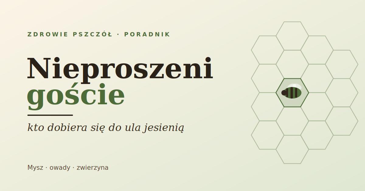 Nieproszeni goście: kto dobiera się do ula jesienią i jak go powstrzymać