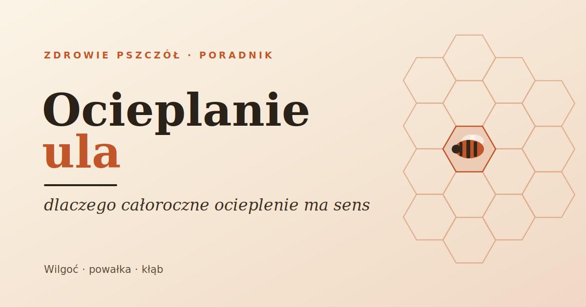 Ocieplanie ula: czy, czym i dlaczego całoroczne ocieplenie ma sens