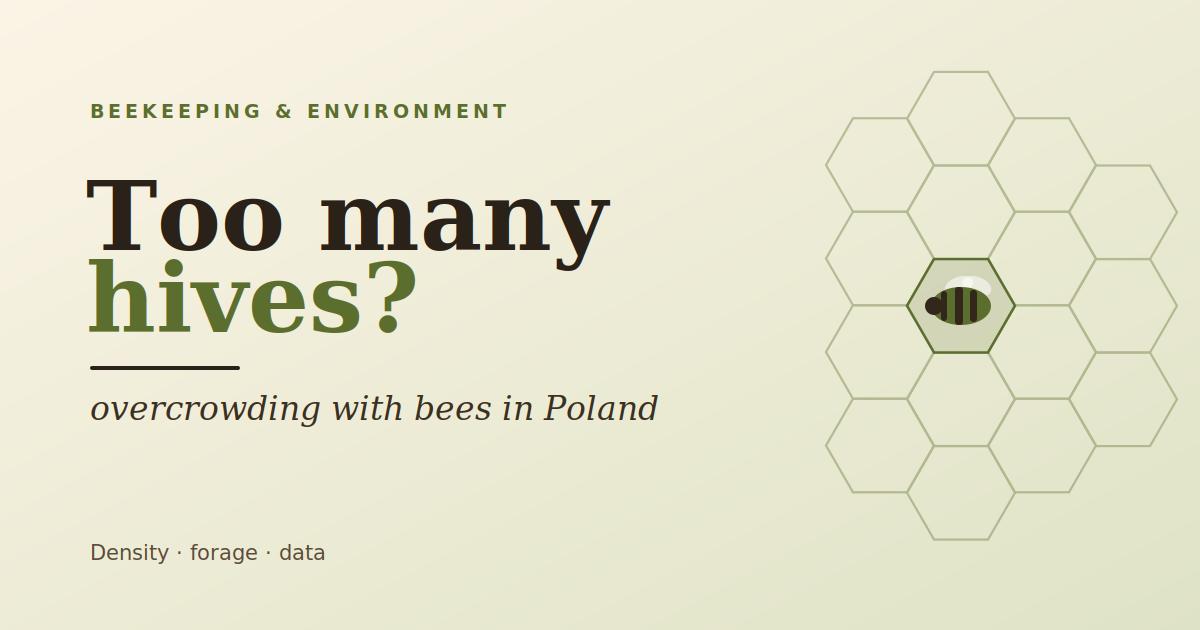 Overcrowding with bees: is Poland already running too many hives?