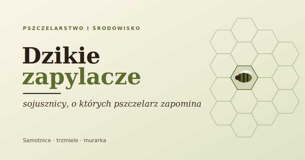 Dzikie zapylacze: sojusznicy pszczoły miodnej, o których pszczelarz zapomina