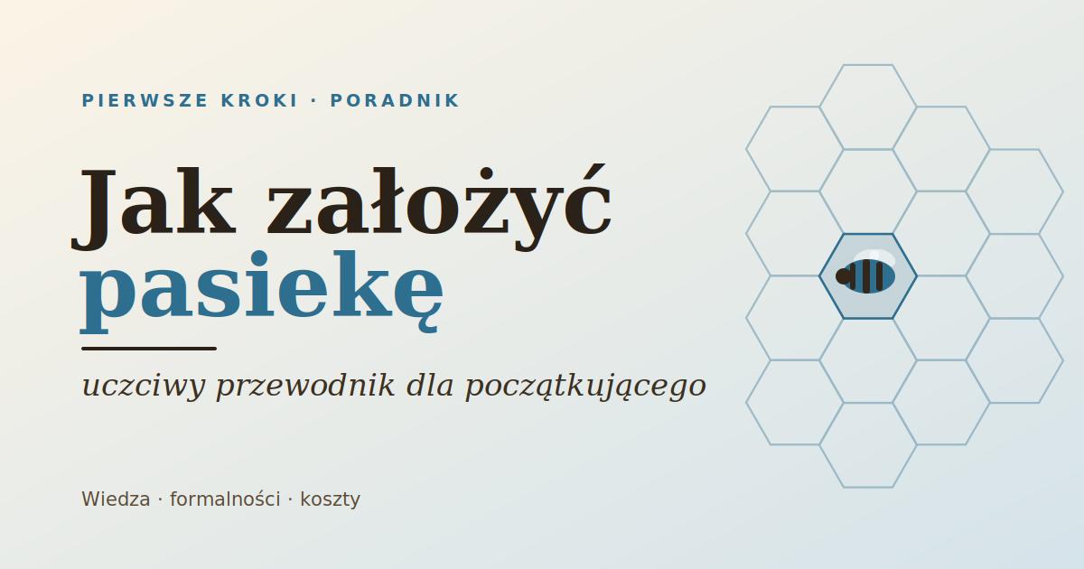 Pierwsze kroki