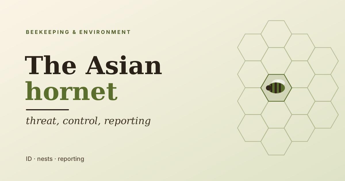 The Asian hornet in Poland: threat, control and reporting