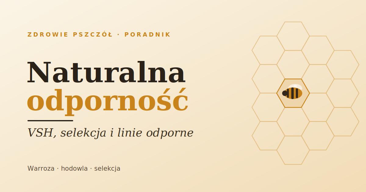 Naturalna odporność na warrozę: VSH, selekcja i linie odporne